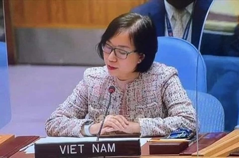 Нгуен Фыонг Ча, заместитель главы постоянного представительства Вьетнама при ООН (Фото: ВИА)