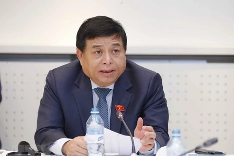 Министр планирования и инвестиций Вьетнама Нгуен Тьи Зунг (Фото: ВИА)