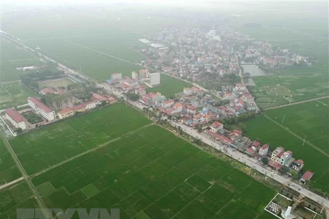 Вид с воздуха на рисовые поля в общине Хоашон в уезде Унгхоа в Ханое (Фото: ВИА)