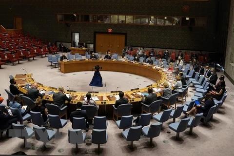 Заседание СБ ООН (Фото: AFP / ВИА) 