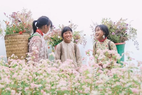 Дети на цветущим поле гречихи в Хажанге (Фото: ВИА)