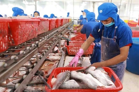 Переработка рыбы на экспорт. - Иллюстративное изображение (Фото: ВИА)