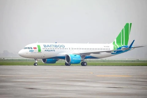 Самолет Bamboo Airways (Фото: ВИА) 