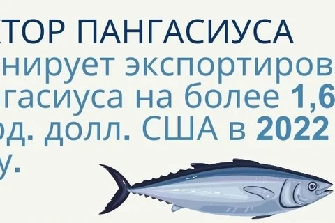 Сектор пангасиуса планирует экспортировать пангасиуса на более 1,6 млрд. долл. США в 2022 году.