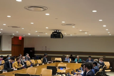 Посол Данг Хоанг Жанг выступает на консультации по проекту резолюции в ООН. (Фото: ВИА) 