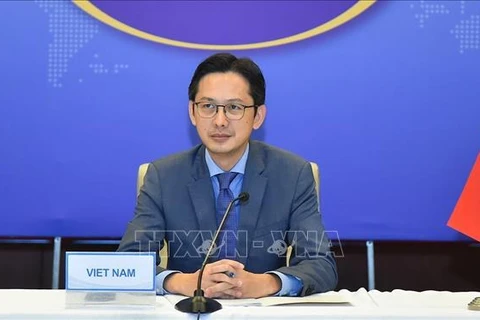 Помощник министра иностранных дел Вьетнама До Хунг Вьет. (Фото: ВИА)