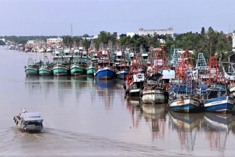 Руководящий комитет по ННН промыслу провинции Кьенжанг заявил, что в основном предотвращено правонарушение рыболовных судов в иностранные воды для незаконного рыболовства. (Фото: ВИА)