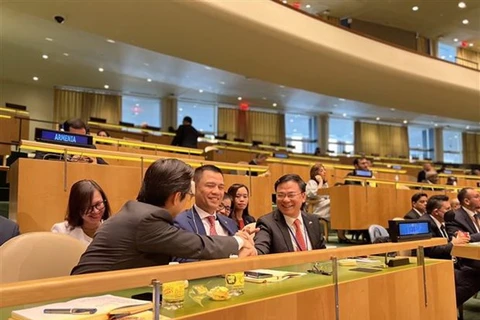 Вьетнамская делегация участвует в голосовании по членству в Совете ООН по правам человека. (Фото: ВИА)