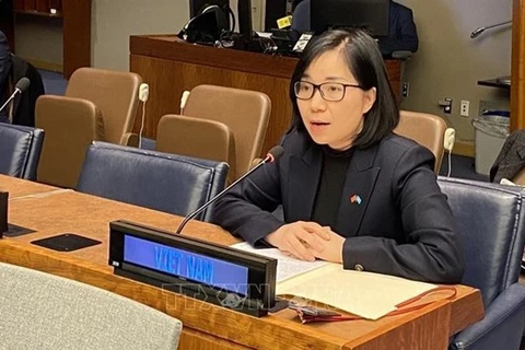 Заместитель постоянного представителя Вьетнама при ООН Нгуен Фыонг Ча. (Фото: ВИА)
