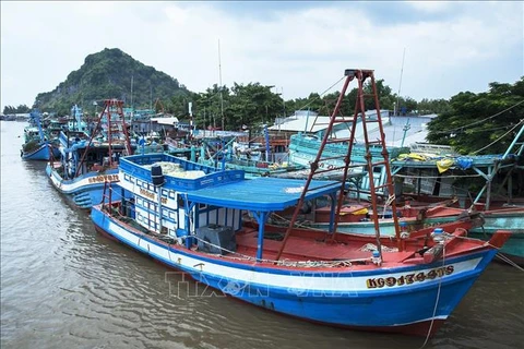 Оффшорные рыболовные суда в устье Бахон уезда Кьенлыонг провинции Кьенжанг. (Фото: ВИА)