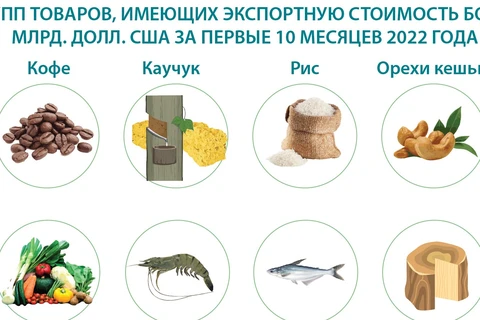 Экспорт продукции сельского, лесного и рыбного хозяйства достиг около 45 млрд. долл. США за первые 10 месяцев 2022 года