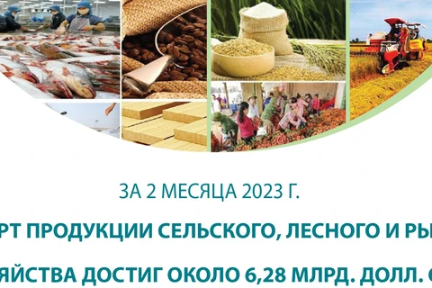 Экспорт продукции сельского, лесного и рыбного хозяйства достиг около 6,28 млрд. долл. США за 2 месяца 2023 г.