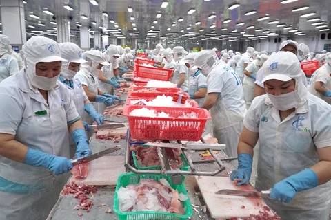 Экспорт пангасиуса многообещающий, поскольку Китай начинает таможенное оформление