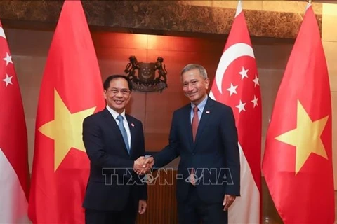 Министр иностранных дел Вьетнама Буи Тхань Шон (слева) и его сингапурская коллега Вивиан Балакришнан. (Фото: ВИА) 