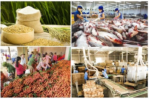 Экспорт сельскохозяйственной, лесной и рыбной продукции за первые семь месяцев 2023 года составил 29,13 млрд. долл. США. (Фото: vneconomy.vn )