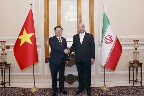 Председатель НС Вьетнама Выонг Динь Хюэ (слева) и спикер парламента Ирана Мохаммад Бакер Калибаф на встрече в Тегеране 8 августа (Фото: ВИA)