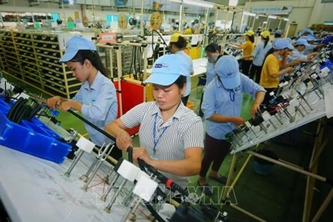 Вьетнам нуждается в высококачественных работниках для полупроводниковой промышленности. (Фото: ВИA)