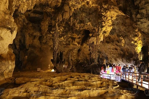 Красивые сталактиты, похожие на лес, в самом сердце пещеры Нгыомнгао. (Фото: VNP/ВИА)