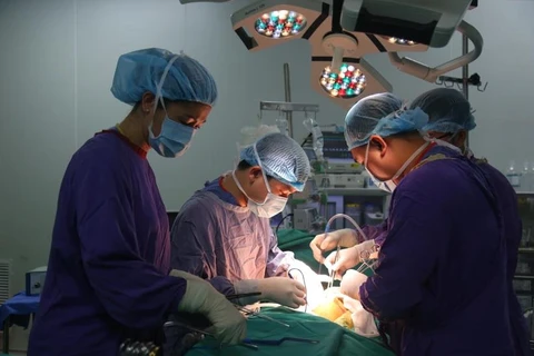 Хирурги Больницы вьетнамо-немецкой дружбы пересаживают пациенту донорские органы. Фото: Vietnam+