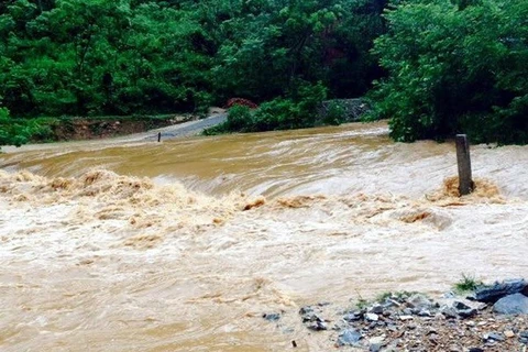 越南北部各省份连天遭到暴雨洪水（来源：越通社）