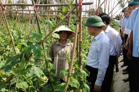 武文宁副总理走访太平省（图片来源：​越通社）
