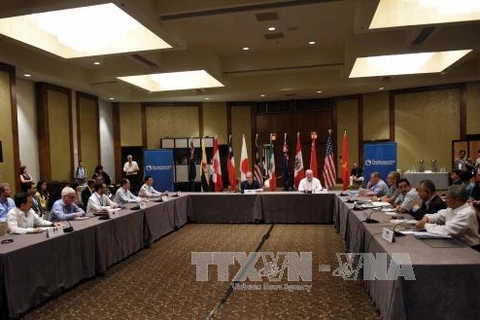 7月28日举行的TPP谈判​ （图片来源：​ 越通社）