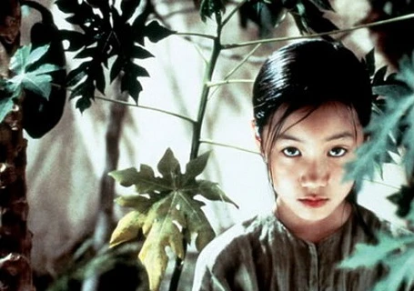 法国越裔导演电影《青木瓜之味》