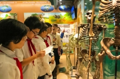 越南自然博物馆的魅力（图片来源：越通社）