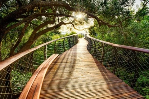 ​附图：步行木桥（图片来源：因特网）