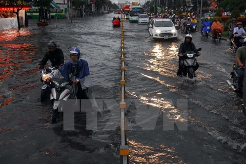许多荷兰专家来到胡志明市协助该市展开防洪工作。