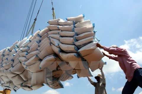 10月份越南大米出口量环比增长84%​ （图片来源：越通社）