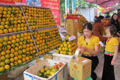 和平省高峰橙子节首次举行 （图片来源：​ http://thanhtra.com.vn）