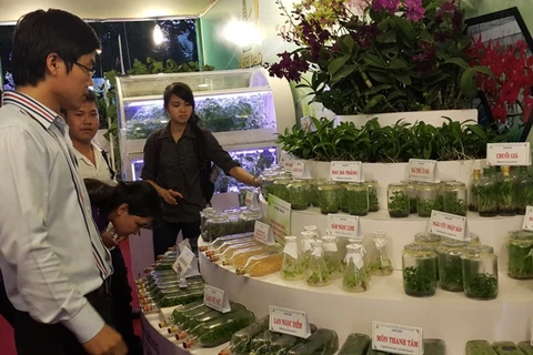 2015越南高科技农业与食品工业展览会吸引近150家企业参加 （图片来源于网络）