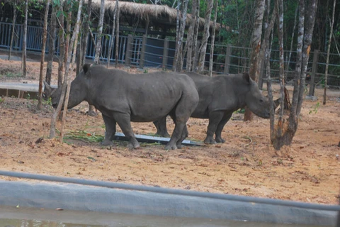 富国野生动物照顾与保护公园中的犀牛（图片来源：劳动者报）