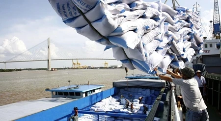 在西贡港拆卸大米