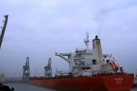 英国籍17万吨“Divinus”船舶（图片来源：越南投资报）
