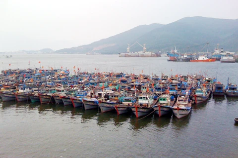岘港市渔船​ （图片来源于网络）