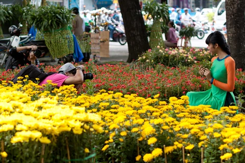 胡志明市的9·23公园迎春花市。