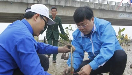 胡志明市共青团发起2016年植树节