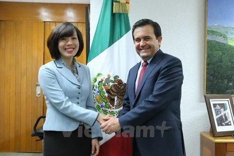 墨西哥经济部长瓜哈尔多（右）与越南驻墨西哥大使黎玲兰（左）（图片来源：越通社）
