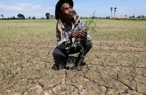 从去年持续至今的干旱已经给泰国东部和北部各省数百万人的生活和农作物生产造成严重影响。