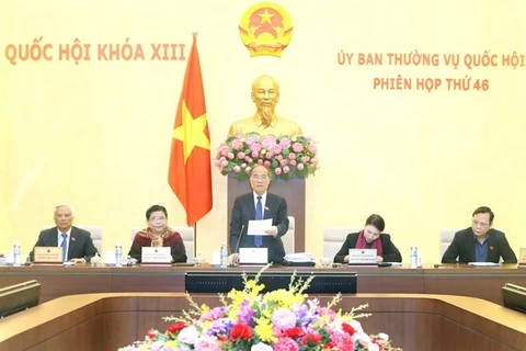 越南第十三届国会常务委员会第四十六次会议开幕式（图片来源：越通社）
