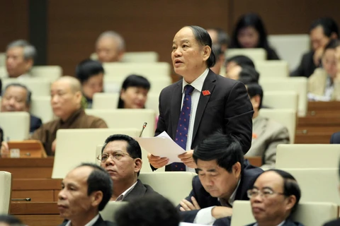 岘港市国会代表黄义发表意见（图片来源：越通社）