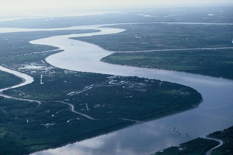 ​附图：湄公河越南段（图片来源：越通社）