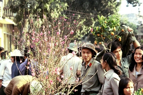“20世纪80年代的越南”图片展上展出的图片
