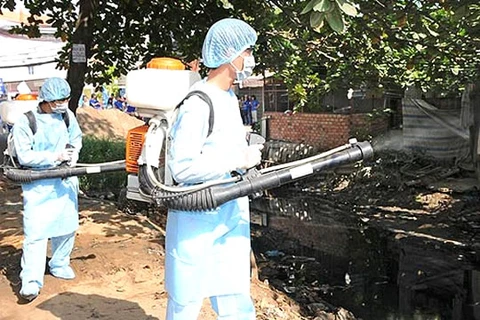 胡志明市开展大规模灭蚊行动严控寨卡病毒蔓延之势。