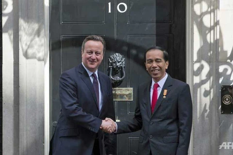 英国首相卡梅伦会见印尼总统佐科·维多多。（图片来源：AFP）