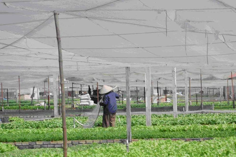 越南农业与农村发展部建议与美方加强气候智能型农业的合作