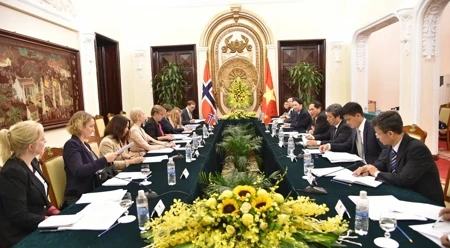 第八次越南和挪威外交副部长级政治磋商会场景。（图片来源：TGVN）