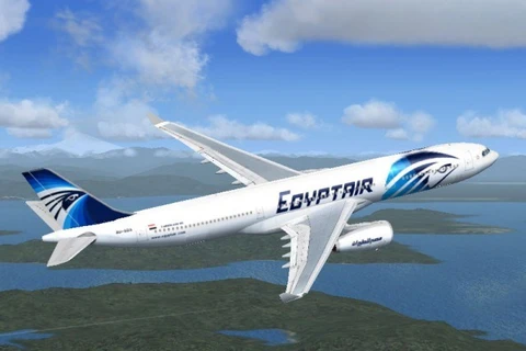 埃及航空客机（图片来源：Olisa.tv） 